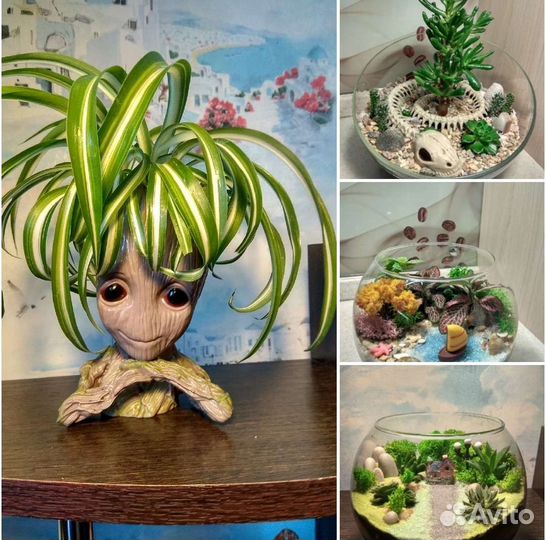 Оригинальный подарок, флорариум, ваза, цветы