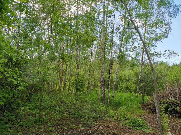 Участок 10 сот. (СНТ, ДНП)