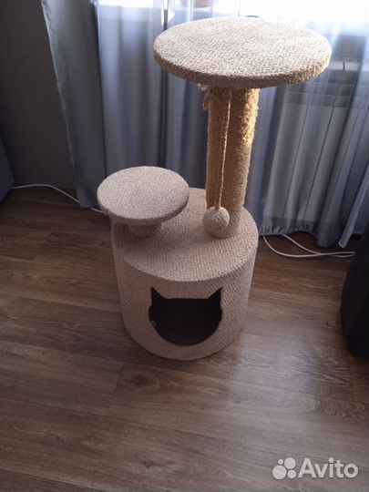 Когтеточка