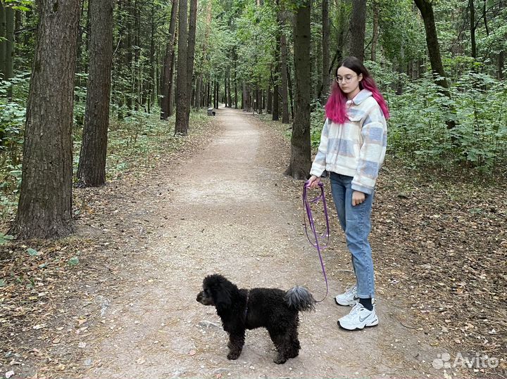 Кинолог/ Зоопсихолог