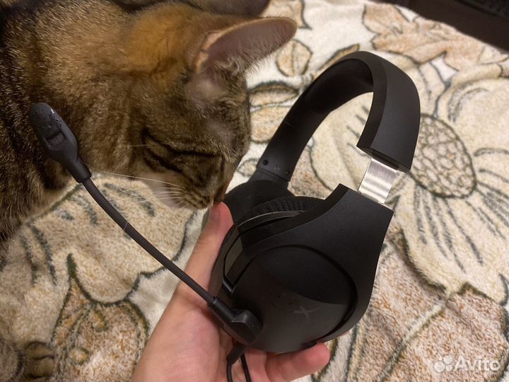 Hyperx cloud stinger core