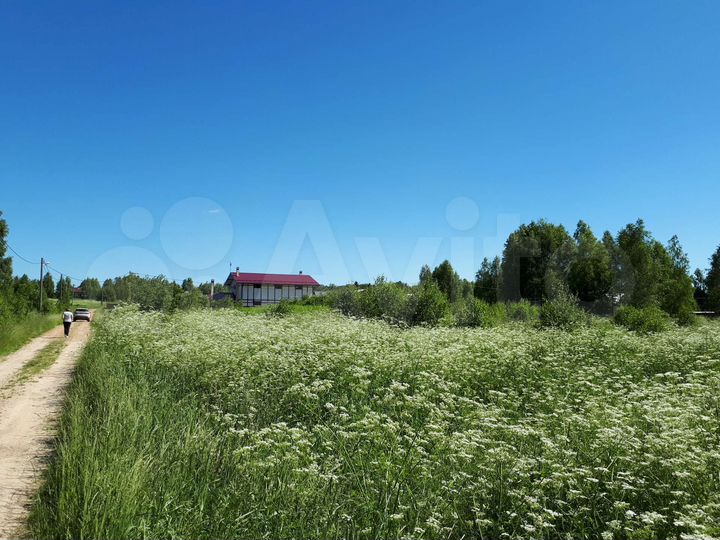 Участок 36,3 сот. (СНТ, ДНП)