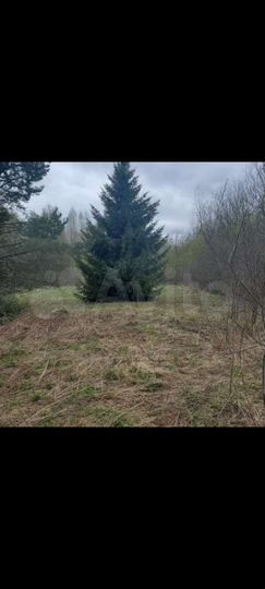 Участок 1,15 га (ИЖС)