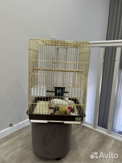 Клетка для попугая корелла, волнистого