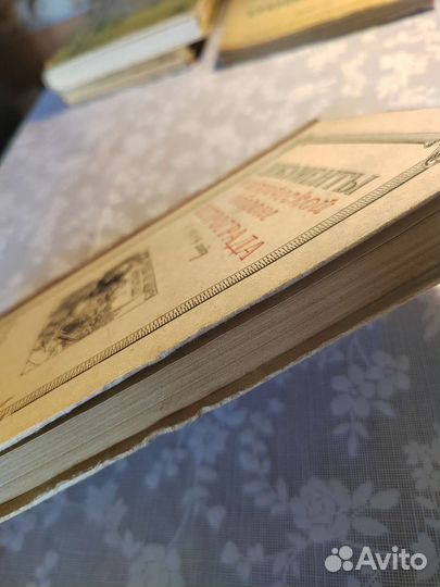 Документы о героической обороне Петрограда в 1919г