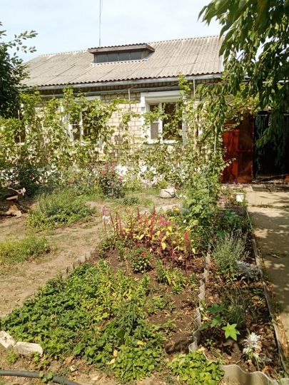 Дом 94,9 м² на участке 27 сот.