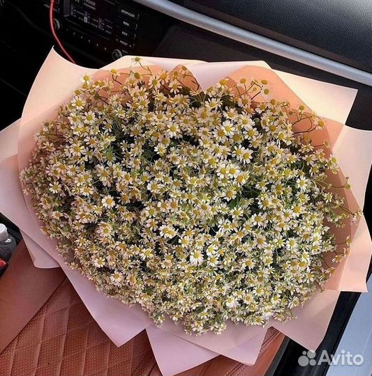 Букеты ромашек