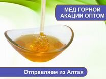 Алтайский мед 2023 г (опт)