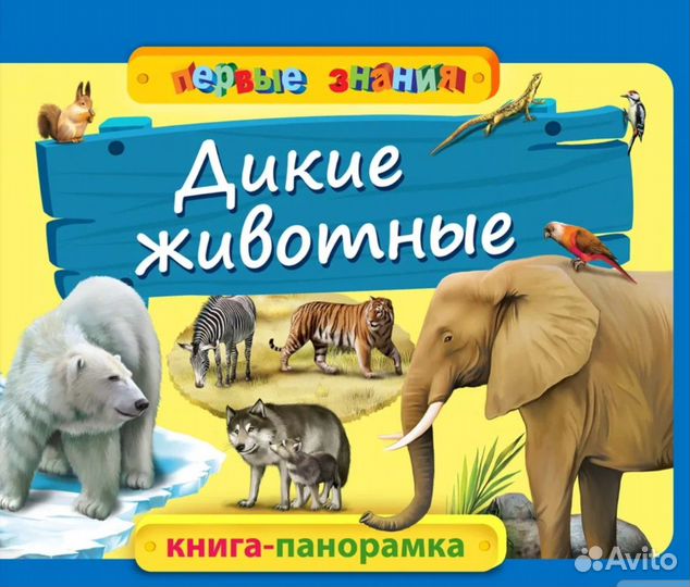 Развивающие книги панорамы для детей: Цифры, Живот