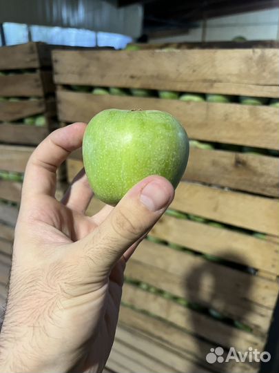 Яблоки Айдаред и Семеренко