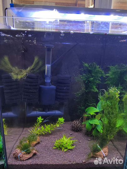 Аквариум