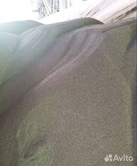 Кормовой ячмень, Фуражная пшеница на корм