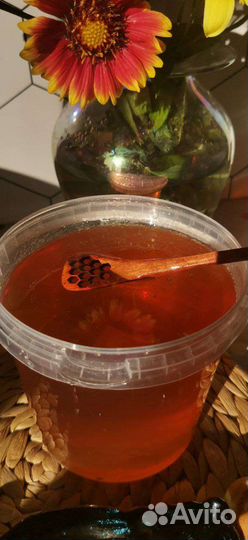 Мёд цветочный 2023 