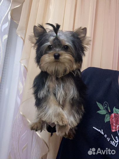 Мини мальчик