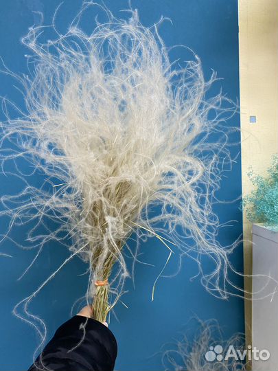 Ковыль букеты