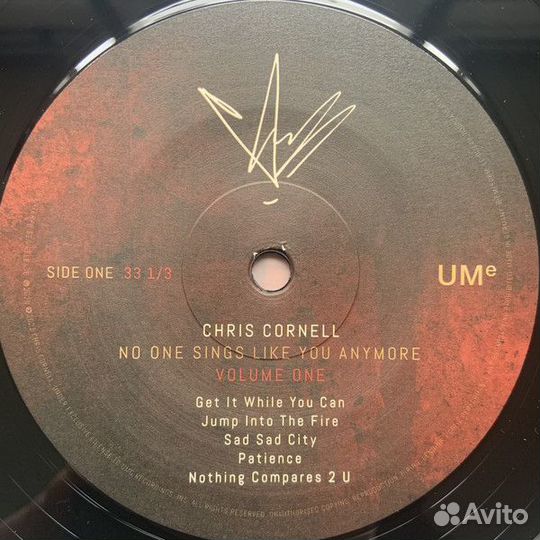 Виниловая пластинка Chris Cornell - No One Sings L