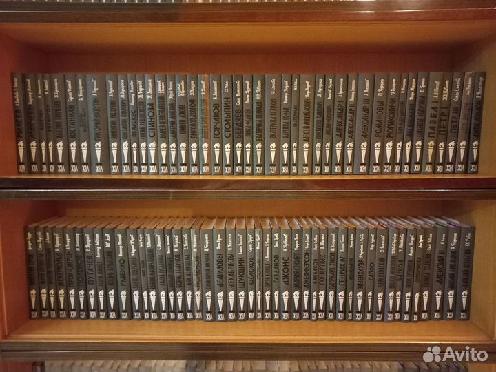 Жзл малая серия 