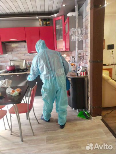 Уничтожение клопов, тараканов и других насекомых