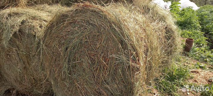 Сено в рулонах