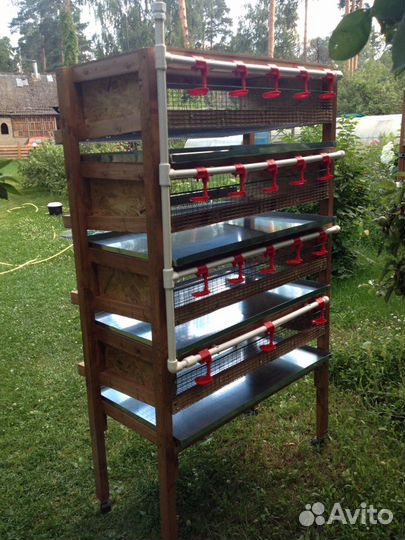 Клетки для перепелов