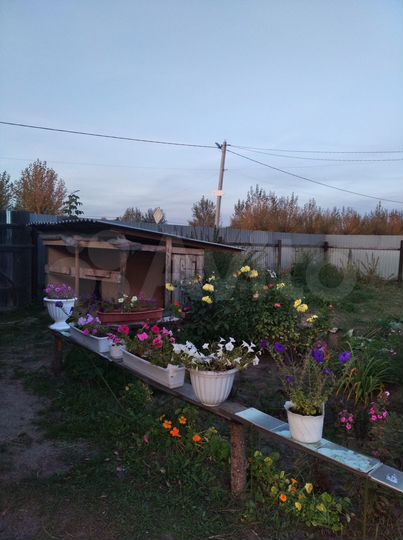 Дом 30 м² на участке 10 сот.