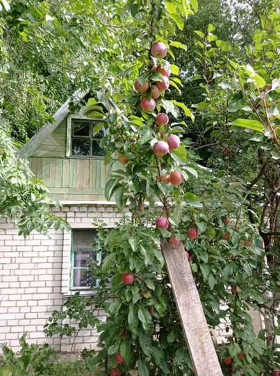 Дача 22 м² на участке 7 сот.