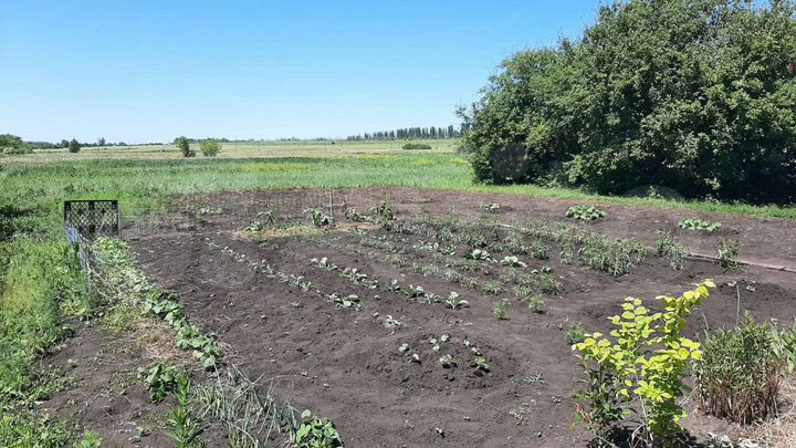 Участок 9 сот. (СНТ, ДНП)