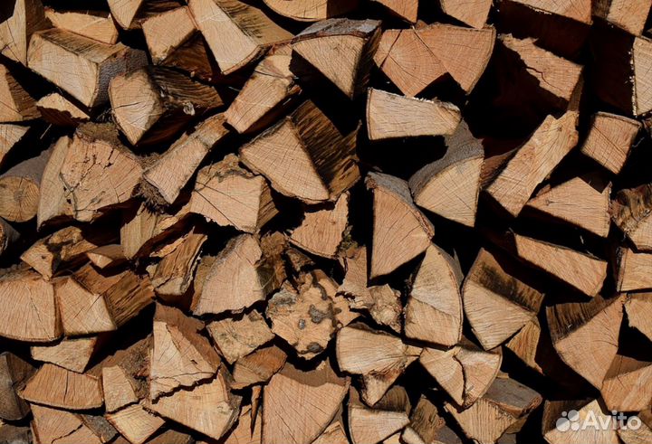 Дрова береза
