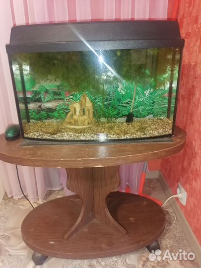 Аквариум