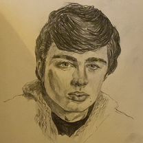 Рисую ваших питомцев, нарисую рисунки в школу, Большие Дворы
