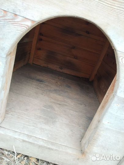 Собачья будка