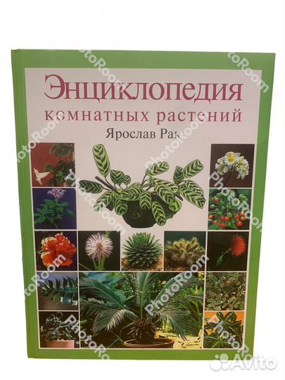 Энциклопедия комнатных растений