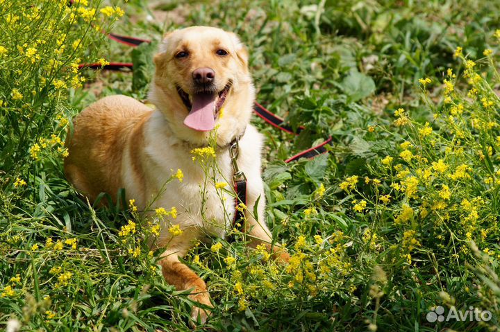 Зои - само совершенство