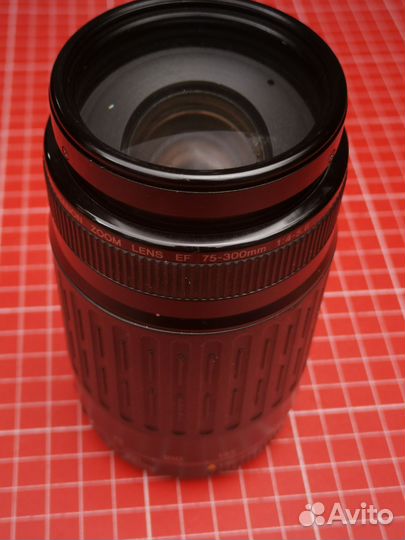 Canon EF 75-300 f/4-5.6 (3)