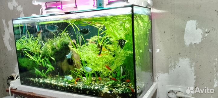 Аквариум 95л