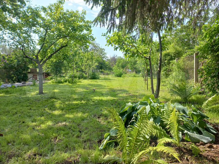 Дача 30 м² на участке 6 сот.