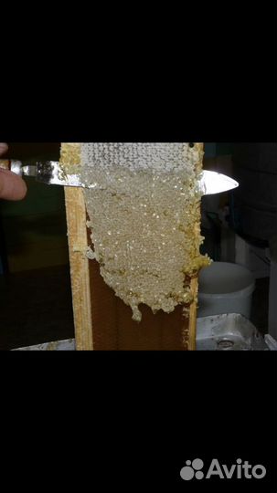 Мед натуральный