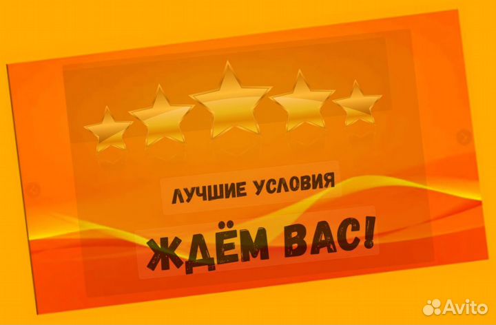 Продавец-кассир Гарантии выплат Бесплатная форма