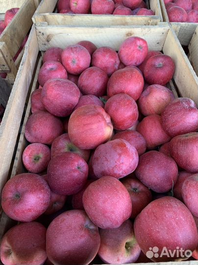 Яблоки флорина