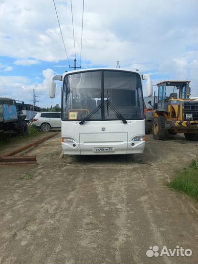 Междугородний / Пригородный автобус КАвЗ 4238 Аврора, 2017