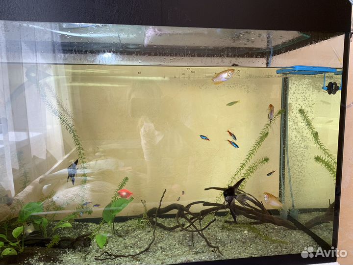 Аквариум с тумбой