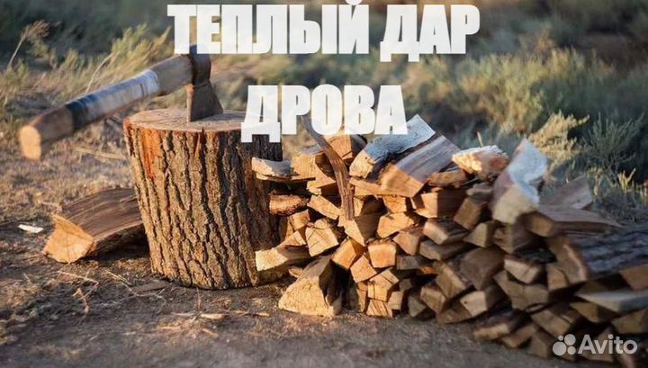 Дрова колотые сухие