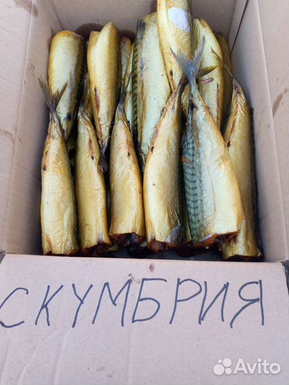 Копчёная рыба х/к