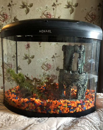 Аквариум aquael 19л со всем