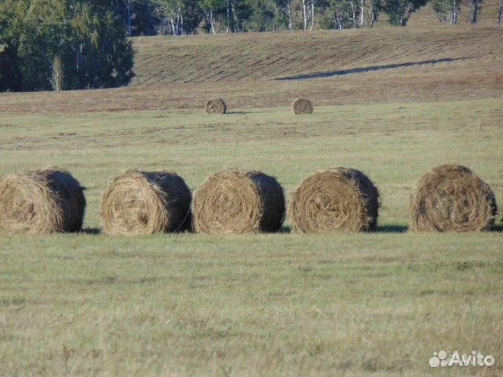 Луговое сено в рулонах
