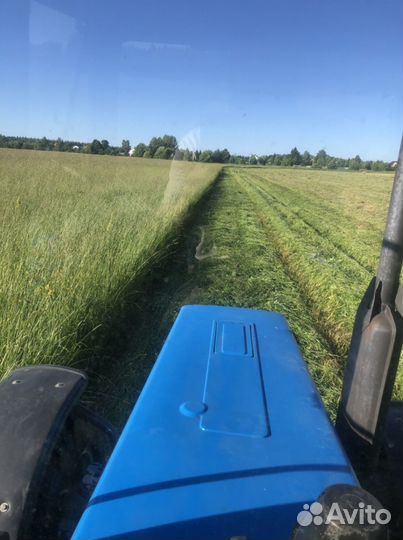 Сено посевных трав