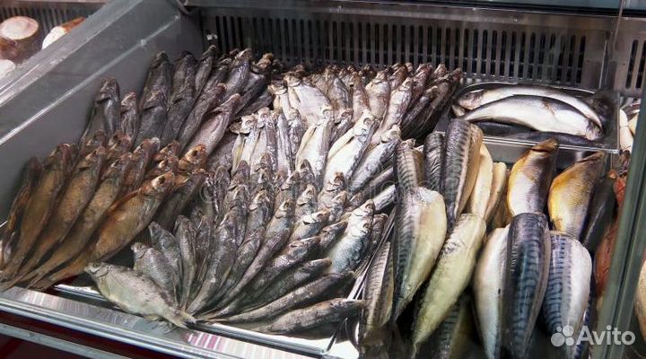 Продается готовый бизнес: морепродукты