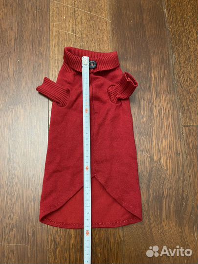 Одежда для кошек сфинкс