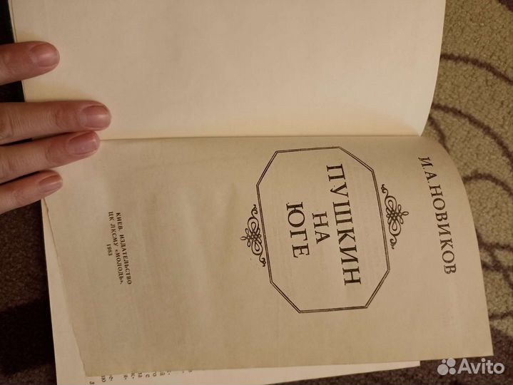 И.А.Новиков Пушкин на юге