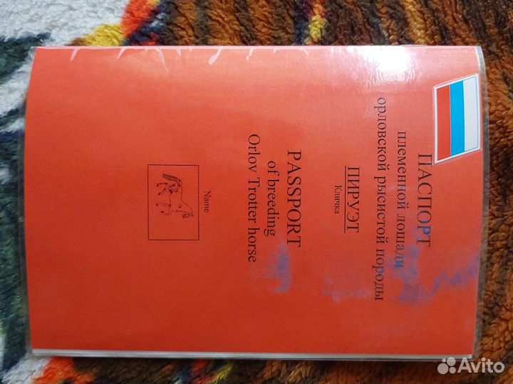 Жеребец орловский рысак